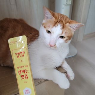 쓔리님이 올린 리뷰 사진 3
