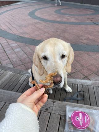 두치뿌꾸빵빵님이 올린 리뷰 사진 2