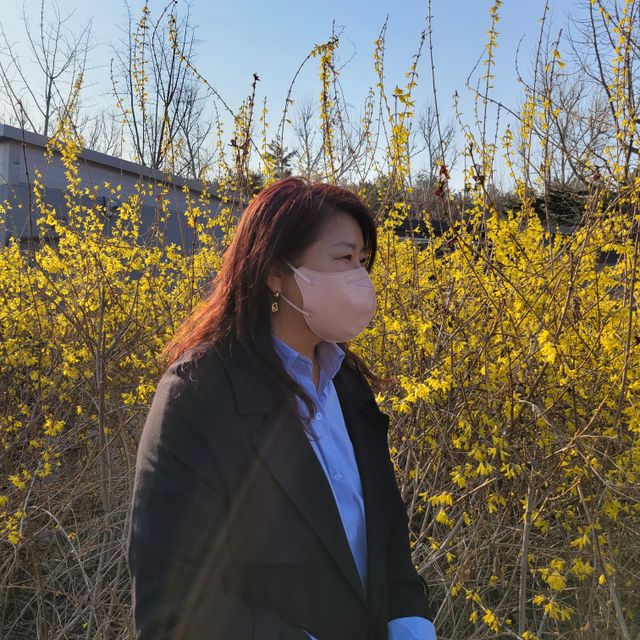 애니가드 셋업메베마스크 (대형 4컬러 + 중형 4컬러) 리뷰 사진