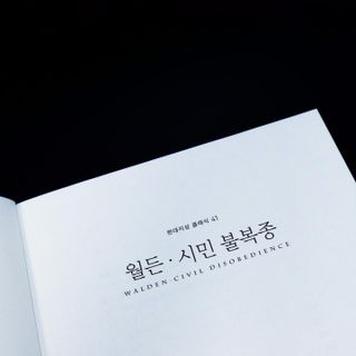 박할미님이 올린 리뷰 사진 1
