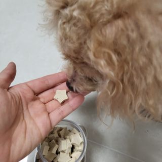 죠니님이 올린 리뷰 사진 3