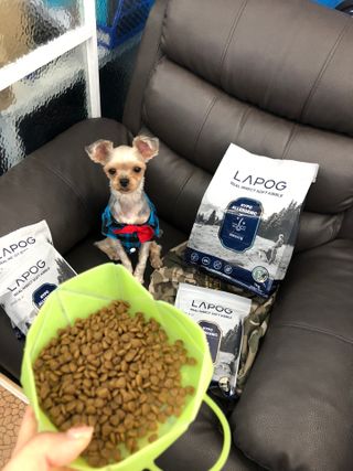 [푸디웜] 라포그 리얼인섹트 소프트키블 스킨 1KG — 5점을 준 리뷰어가 2022년 9월 올린 사용 사진