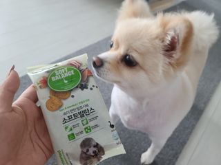 모르님이 올린 리뷰 사진 3