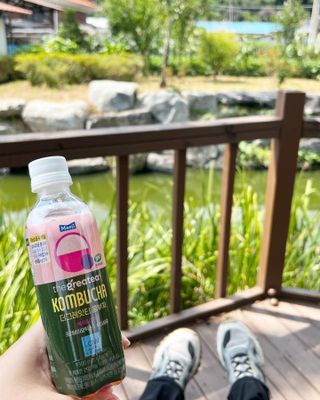 더그레잇티 콤부차 [매일유업] 더그레잇티 44kcal 콤부차 300ml *12개입 (오리지널 6개+베리리치 6개) — 5점을 준 리뷰어가 2023년 8월 올린 사용 사진
