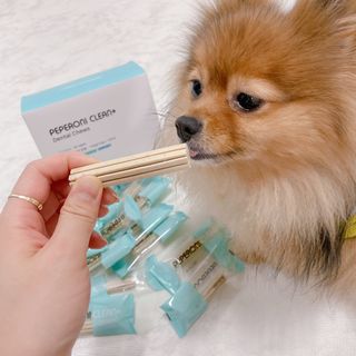 페페로니 클린플러스 덴탈오리껌 10g x 14p — 3.5점을 준 리뷰어가 2021년 7월 올린 사용 사진