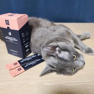 코코몰리 고양이 구강• 헤어볼 데일리 /신장• 요로 데일리 — 5점을 준 리뷰어가 2021년 1월 올린 사용 사진