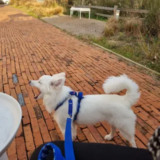 강이님이 올린 리뷰 사진 3