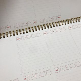 리훈 곰부 체크리스트+ 곰부 리무버블스티커 1장 — 4.5점을 준 리뷰어가 2021년 6월 올린 사용 사진