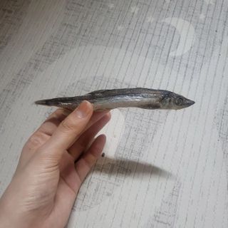 [펫시밀] 원물그대로 영양듬뿍 동결건조 왕북어트릿300g,왕치킨트릿400g,열빙어트릿300g 대용량 간식 — 5점을 준 리뷰어가 2023년 5월 올린 사용 사진