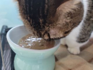 오남매맘님이 올린 리뷰 사진 4