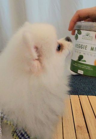 꽃태희님이 올린 리뷰 사진 1