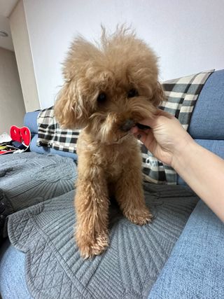 harumom님이 올린 리뷰 사진 4