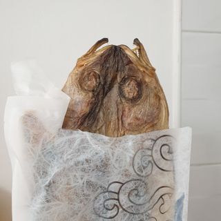 [오늘바스켓] 용대리 손질하늘태 130g — 4점을 준 리뷰어가 2021년 6월 올린 사용 사진