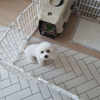 비니주니맘 :D님이 올린 리뷰 사진 2