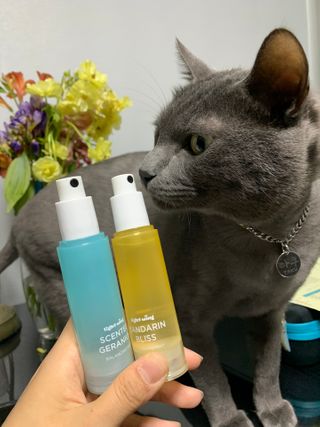 꾸루쿡님이 올린 리뷰 사진 3