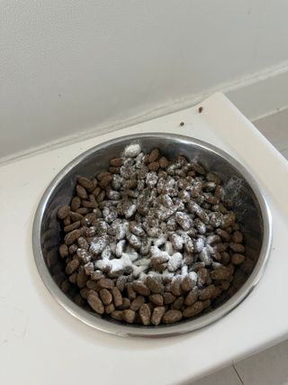 숑굥님이 올린 리뷰 사진 2