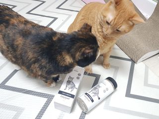 솔탄이love님이 올린 리뷰 사진 2