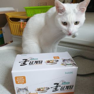 별이달이마미님이 올린 리뷰 사진 1
