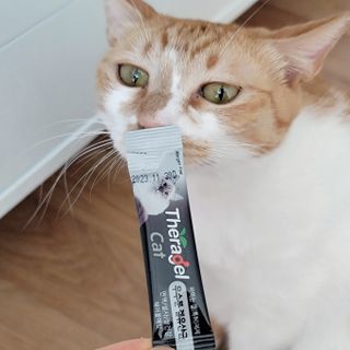 제니언니님이 올린 리뷰 사진 2