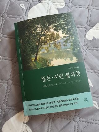 불량주부벗어나기님이 올린 리뷰 사진 1