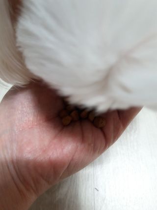 셀린님이 올린 리뷰 사진 1