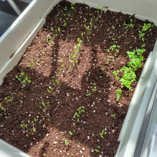 별꽁달꽁님이 올린 리뷰 사진 3