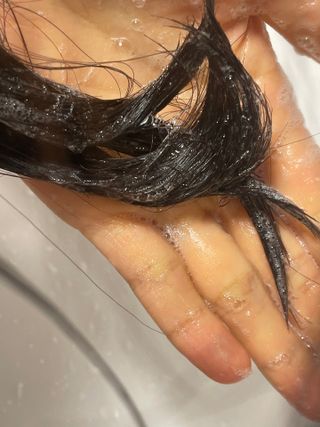 르핸스 퍼포밍 5 샴푸 비반트 포렛/베티버 포그 — 5점을 준 리뷰어가 2022년 12월 올린 사용 사진
