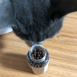 펫21 그로그로 5종 강아지 고양이 반려동물 한방 영양제 — 3점을 준 리뷰어가 2021년 11월 올린 사용 사진