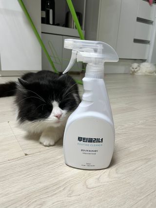 언제나님이 올린 리뷰 사진 1