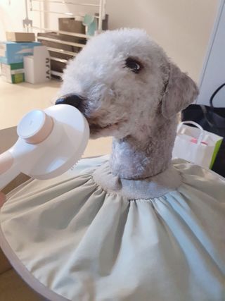 인스타(__180226)맞팔할게요💗님이 올린 리뷰 사진 4