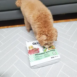 써니곰님이 올린 리뷰 사진 3