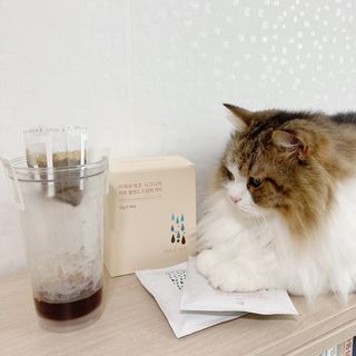 봉봉댁님이 올린 리뷰 사진 4
