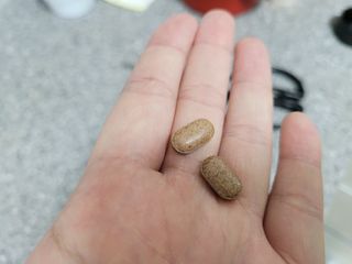 슬림플래닛 녹차카테킨 500mg 애프터밀 — 5점을 준 리뷰어가 2021년 9월 올린 사용 사진