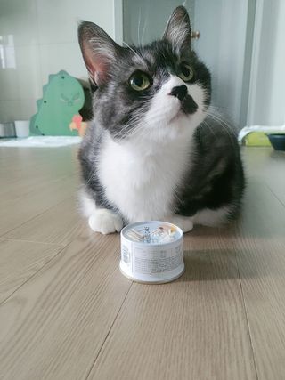 조아해1128님이 올린 리뷰 사진 2