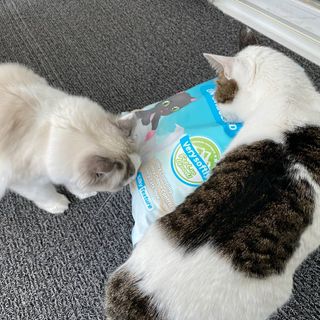 딸랑구둘🥰님이 올린 리뷰 사진 3