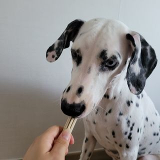 봉이옴마❤님이 올린 리뷰 사진 3