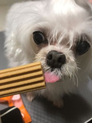 만기사갈네트님이 올린 리뷰 사진 3