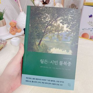 유도리님이 올린 리뷰 사진 4