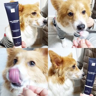 림림님이 올린 리뷰 사진 1