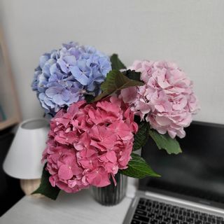 랑이님이 올린 리뷰 사진 1