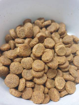 도도맘님이 올린 리뷰 사진 2