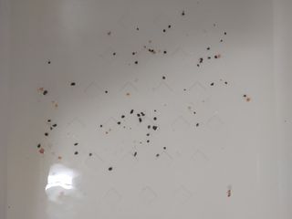 멍순이님이 올린 리뷰 사진 3
