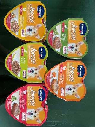 비타크래프트 조에시 하트캔 85g 강아지 습식캔 10캔 — 5점을 준 리뷰어가 2021년 8월 올린 사용 사진