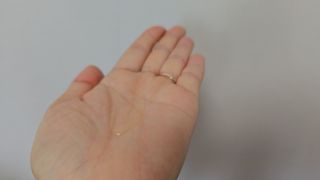 스킨큐어 산다화 순한 클렌징 동백 오일 200ml — 5점을 준 리뷰어가 2023년 4월 올린 사용 사진