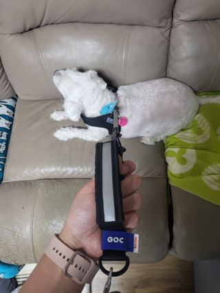 진진이님이 올린 리뷰 사진 3