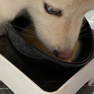 밍님이 올린 리뷰 사진 4