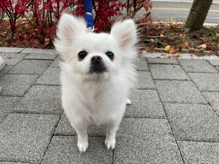 설아리님이 올린 리뷰 사진 4