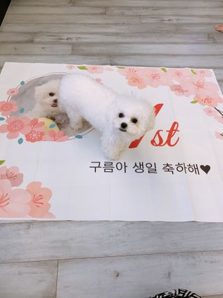 큐티윤님이 올린 리뷰 사진 3
