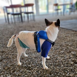 mini unni님이 올린 리뷰 사진 3