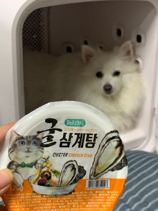 구름님이 올린 리뷰 사진 1